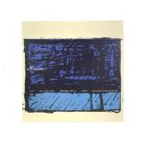 Hoover Slowdime DIS509