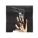 Chromatics Running From The Sun RUN 2012