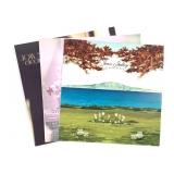 3 Joan Shelley Vinyls