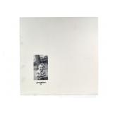 Evergreen L-41849 Anomaly Whaleboy