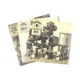 3x King Gizzard And The Lizard Wizard Color Vinyl