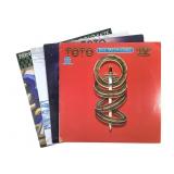 4V Toto Erin Tobey Tortoise