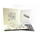 Led Zeppelin III Deluxe Box Set w Book