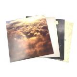 2xV Bowerbirds Bolan