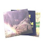 Youth Lagoon x3 LP Fat Possum Records