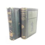2 Illust 19th C Achievements of Stanley & Others +