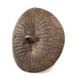 Oromo/Arussi Hippo Hide Shield From Ethiopia