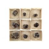 9 Garnet Xls Custers Calaveras Co. CA 4 oz