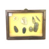 C. & S. American Carved Shells & Stones w Case