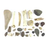 Bones Fossils Pieces - Field Find Items