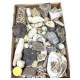 12lbs Mix Lot - Shell - Mineral - Fossil