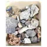 20lbs Various Fossils & Minerals