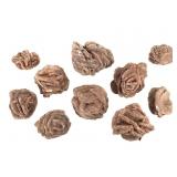 10 Lg Barite Rose 3 1/4" - 2" TW 3 Lb 3.6 oz