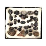 Cassiterite Xls NSW AU 14.5 oz Including Case