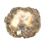 KY Agate Translucent Slab 4 Lbs 3.1 oz