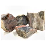 4 pcs Petrified Wood 16lbs TW