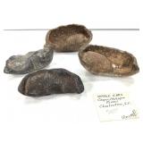 Tagged Whale Ears 1.7lbs TW