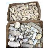 27lb 3oz - 100+ Fossil Specimans