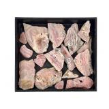 16 Rhodochrosite Slabs Argentina 1 Lb 5.8 oz TW