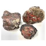 3 pcs Dinosaur Coprolite 2.5lbs TW