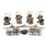 30+ Rhodochrosite Xls Chihuahua MX 17 oz TW