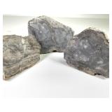 7lb 5 oz Slabbed Petrified Wood - Arizona