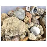 HUGE Geode & Geodized Fossils 90lbs TW