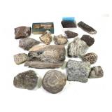 Petrified Wood Dino Bone & Unique Fossils 19.8lbs