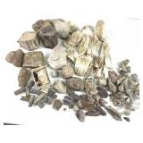 Mixed Better Fossils 16lb. TW