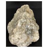 Lg Calcite Infused Sediment Stone 11lbs. TW