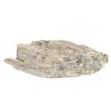 Anthophyllite Burnsville NC 5 Lbs