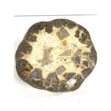 Septarian Half - Cut & Polished 10.2lb TW