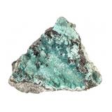 Rosasite w Chrysocolla Chihuahua MX 12.1 oz