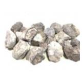 Dinosaur Coprolite 36lbs TW