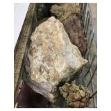 Mixed Specimen 70lbs TW