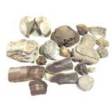 Misc Mixed Fossils 24lbs TW