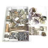 Stalactites Shells + Other Fossils 5lbs TW