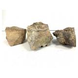 3 pcs Misc Lg Fossil Shell Specimen 17lbs TW