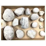 Indiana Petoskey Stones 11.5lb. TW - 10+ Specimen