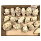 Fossilized Geodes 8.5lb. TW