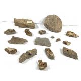 Mexican Fossil Shell 17lb. TW