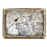 Dentritic Moss Opal Translucent Slabs 6 Lbs