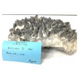 Phantom Calcite 5.8lbs TW