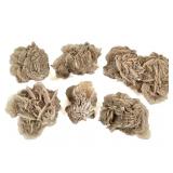 6 Lg Desert Rose Selenite Mexico 6 Lbs 15.1 oz