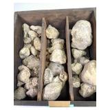 17lb Coral Fossils