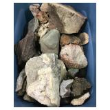 Mixed Specimen 144lbs TW