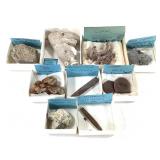 9 Fossil Cystoid Shrimp Balimenite Agatized Coral