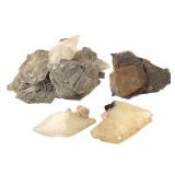 4 Calcite DT Golden Cal w Min+ 1Lb 15.6 oz TW