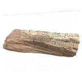 Lg Petrified Wood 8lbs. TW