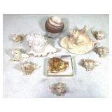 Conch Shells + 1 Other 7lbs TW